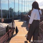ハーバーハウス新入社員　話題の水族館