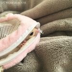 ハーバーハウス齋藤のブログ　1日のスケジュール紹介～11カ月編～