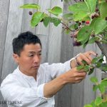 ハーバーハウス　先輩社員紹介