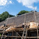 ハーバーハウス新卒・年女、2026年はここから！